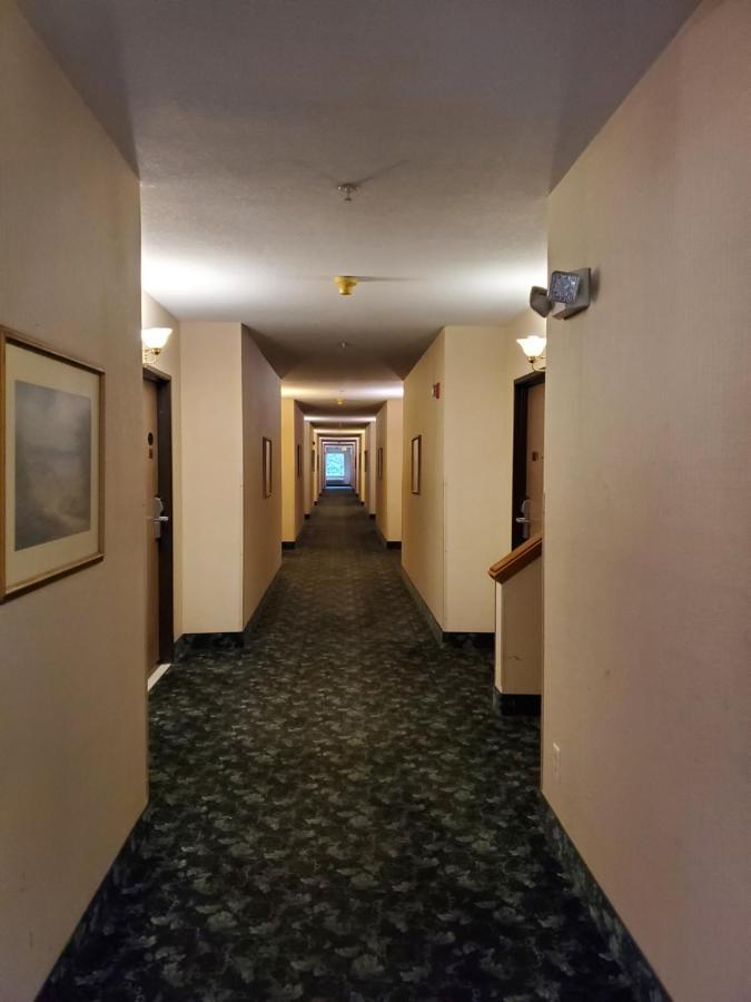 Bellis Inn بيلينغام، واشنطن المظهر الخارجي الصورة