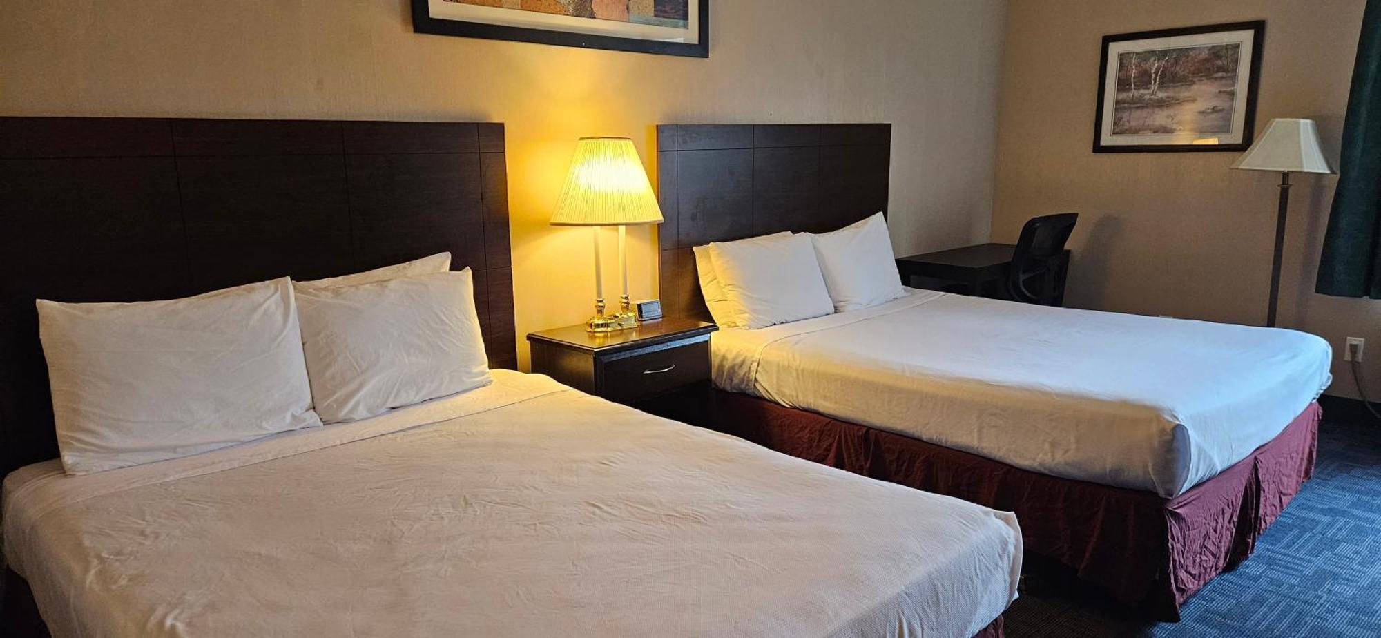 Bellis Inn بيلينغام، واشنطن المظهر الخارجي الصورة