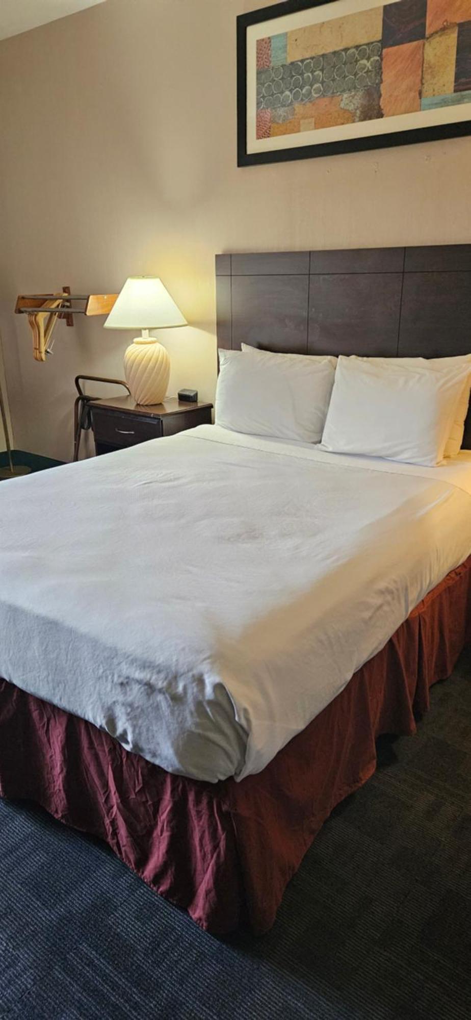 Bellis Inn بيلينغام، واشنطن المظهر الخارجي الصورة